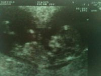 scan no.3.jpg