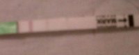 IMG00336-20110129-1328.jpg