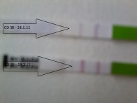 January OPK.jpg