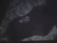 DSC01316.jpg