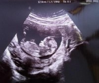 Scan.jpg
