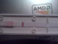 IMG00205.jpg