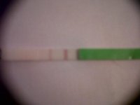 IMG00343-20110130-2054.jpg