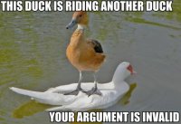 tumblr_ldupi85CNH1qcmna7o1_500.jpg