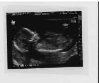 scan14.jpg