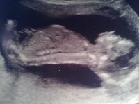 310120111317.jpg