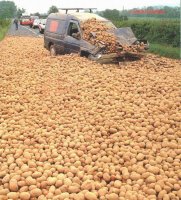 potatoes-destroy-car.jpg