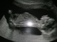 310120111302.jpg