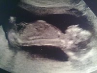 310120111318.jpg