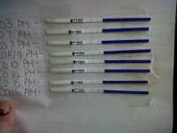 IMG00061-20110130-1346.jpg