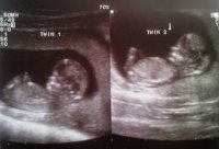 Photo607.jpg
