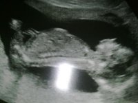 310120111309.jpg