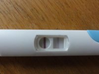 pregnancy 015.jpg