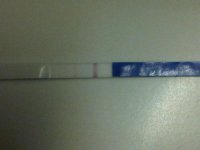 IMG00258-20110204-1333.jpg