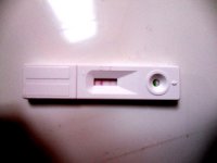 opk feb 6.JPG