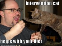 funny-pictures-intervention-cat-helps-with-your-diet.jpg