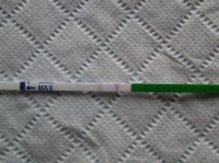 test.jpg