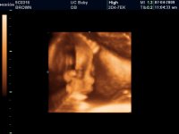 UC BABY_1.JPG