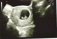 scan 001.jpg