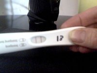 Picture 115.jpg