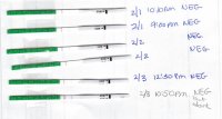 OPK 2-3 1050 pm zoomed.jpg