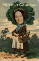 Mothercabbage.JPG