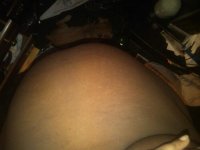 IMG00105-20110207-1709.jpg