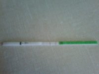 2011 031.jpg