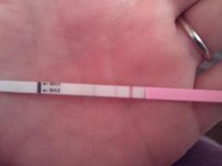 2011-02-08 14.26.00.jpg