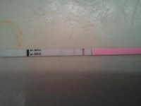 2011-02-08 14.54.19.jpg