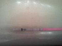 2011-02-09 13.35.15.jpg