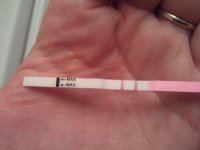 2011-02-09 20.38.33.jpg