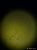 IMAG0832.jpg