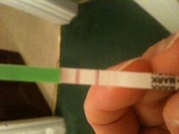 OPK 10.2.11.jpg