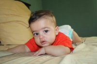 IMG_4130.jpg