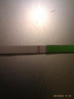 IMAG0853.jpg