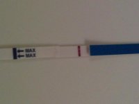 IMG00013-20110213-0615-11dpohpt.jpg