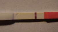 6 dpo.jpg