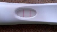 cd22.jpg