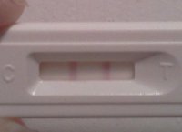 IMG_20110215_000550.jpg