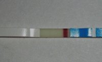 t3.jpg