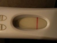 frer.jpg