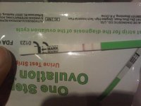 IMG07463-20110215-1936.jpg