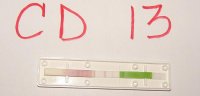 DSC03407.jpg
