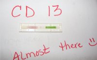 DSC03408.jpg