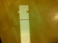 IMG-20110216-00264.jpg
