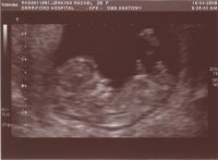 11+3 scan.jpg
