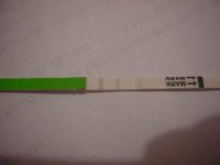 CD17.jpg