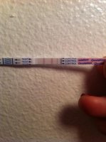 opk1.jpg