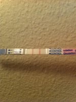 opk2.jpg